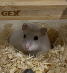 チーズのお部屋