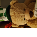 My Friends and my Picture of my Teddy bear