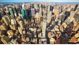 The city
