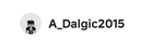 Team A_Dalgic2015
