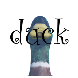 🦆 duck