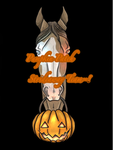 Pumpkin patch SA Team