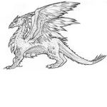dragon nights