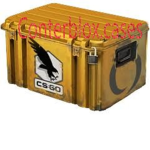 Conterblox.cases