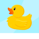 duck raid!