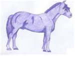 Purple Ponies FC