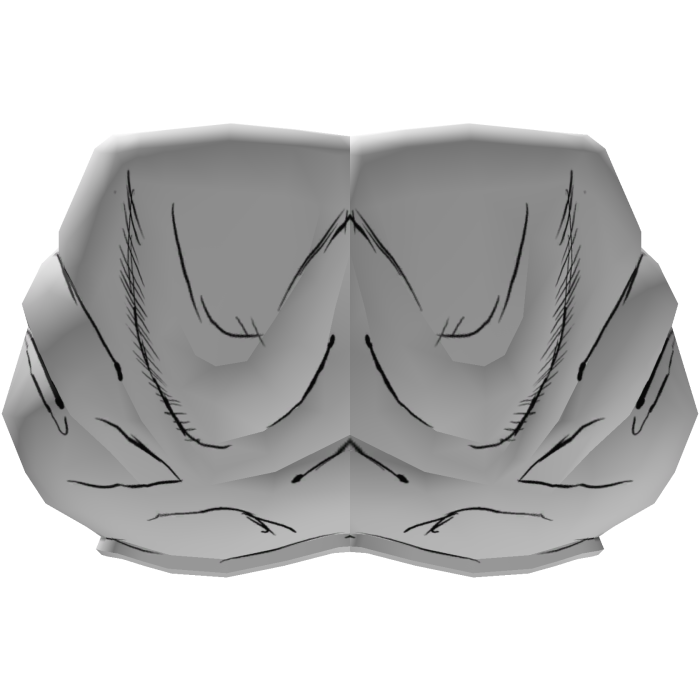 Choso Waist V2