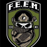[EM] F.E.E.M