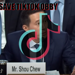 SAVE TIKTOK OBBY