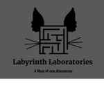LLFG Labyrinth Labs Fan Group