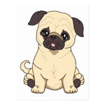 Pug puppy clan