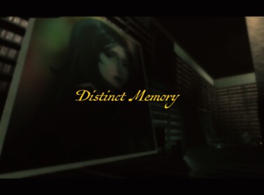 Distinct Memory