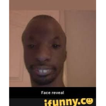 Memes 4 life lol
