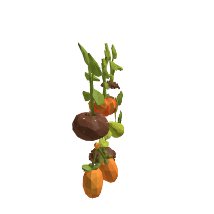 Pack of 6 vegetables 