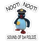 The NOOT NOOTERS