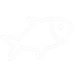 Fish With Us!