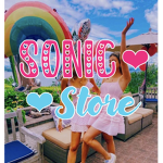 Sonic Store