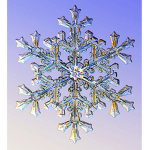 FrostSide Hotels