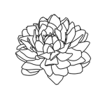 Dahlia TSB