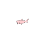 Shark squad cute