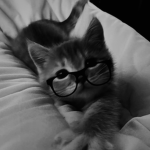 ‘dollzz