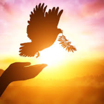 Be free!!!