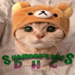 Hamood's DHC