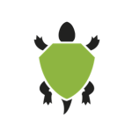 big eye turtle squad