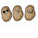 HOT POTATO!
