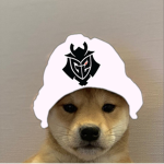 Shiba inu army Arsenal