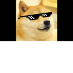 Doge hang out group