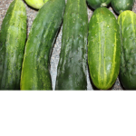 ######## pickle