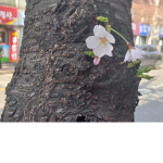 눈누 난나 그룹~