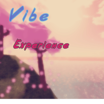 Vibe experience 