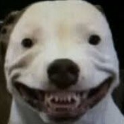 Cursed Dog Roblox decal