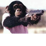 Teh Ape Squad