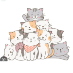 The chater squad