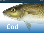 Cod boi