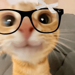 𝓧