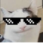 Kuzito