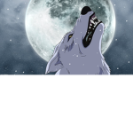 Cøcø Mõön