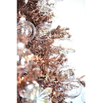 ned fi gaming group