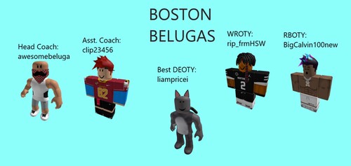 Boston Beluga Field