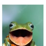 GET INTO BLOXBURG