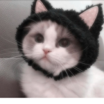 ! neko