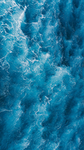 Blue_Tails