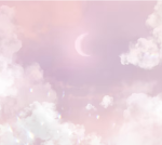 clxdy skyx