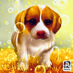 Dogie club.