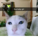 :9;36