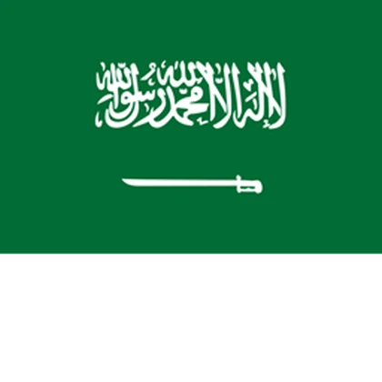 [SA] ‌‌‌‌‌‌‌‌‌‌‌Kingdom of Saudi Arabia Roblox group icon